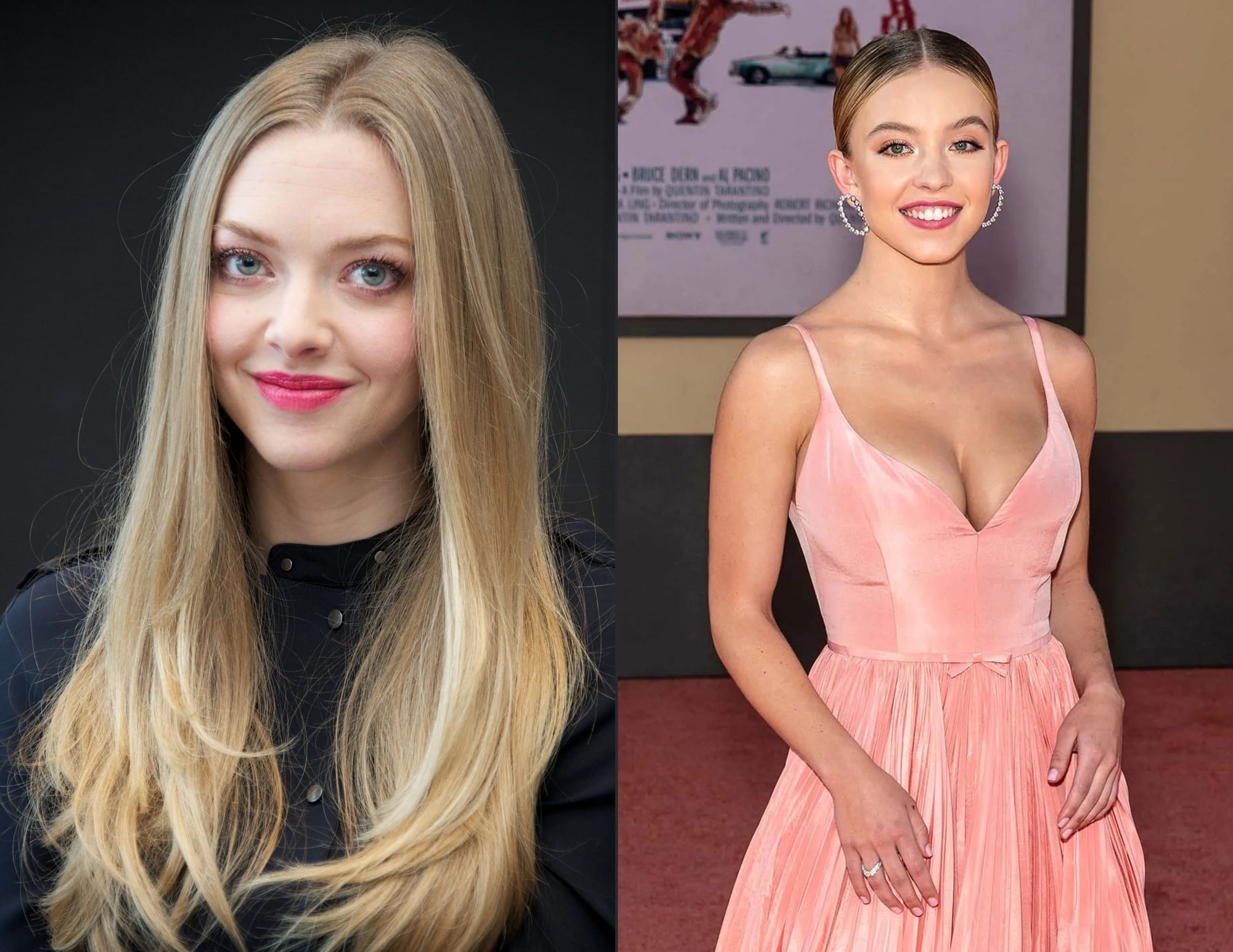 amanda-seyfried-ve-sydney-sweeney-the-housemaid-uyarlamas-n-n