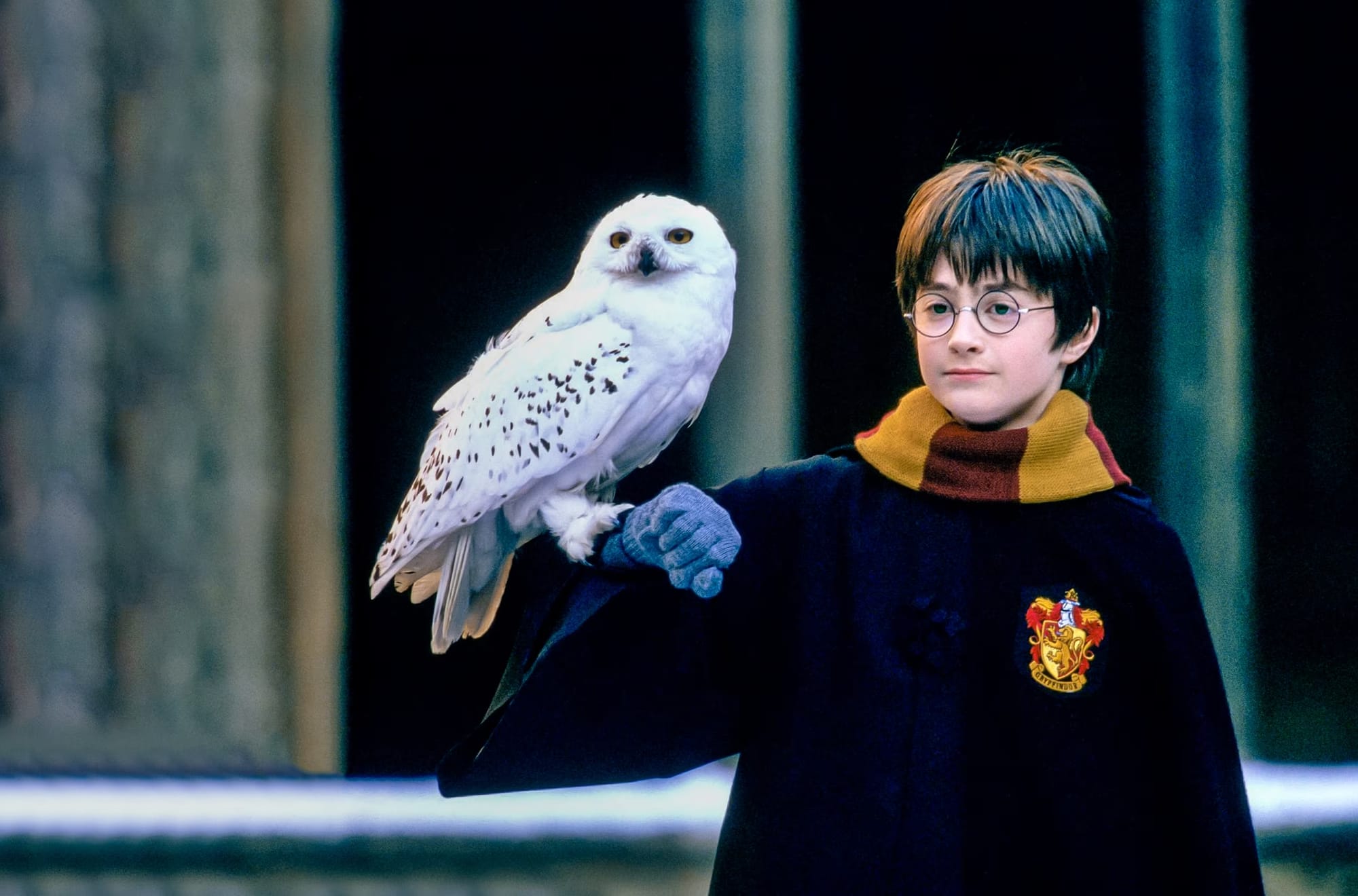 'Harry Potter' Dizisi 2026 Yılında Başlayacak