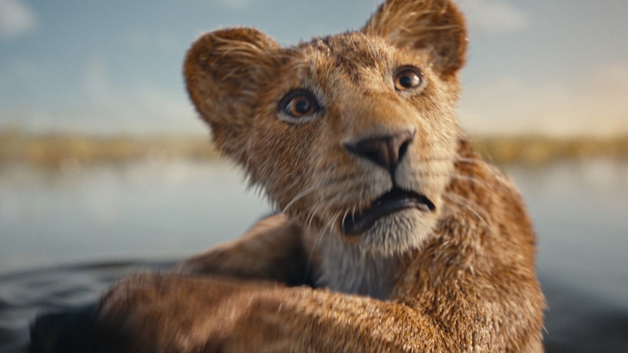 'Mufasa: The Lion King'den Resmi Fragman