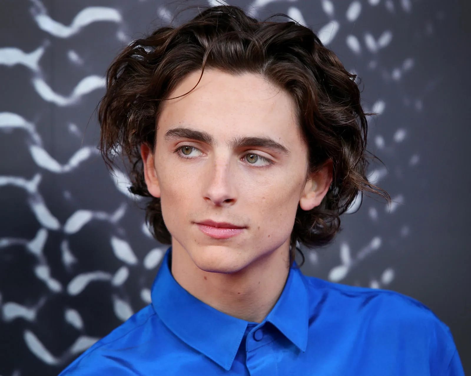 Timothée Chalamet, A24’ün Yeni Biyografik Filminin Başrolünde