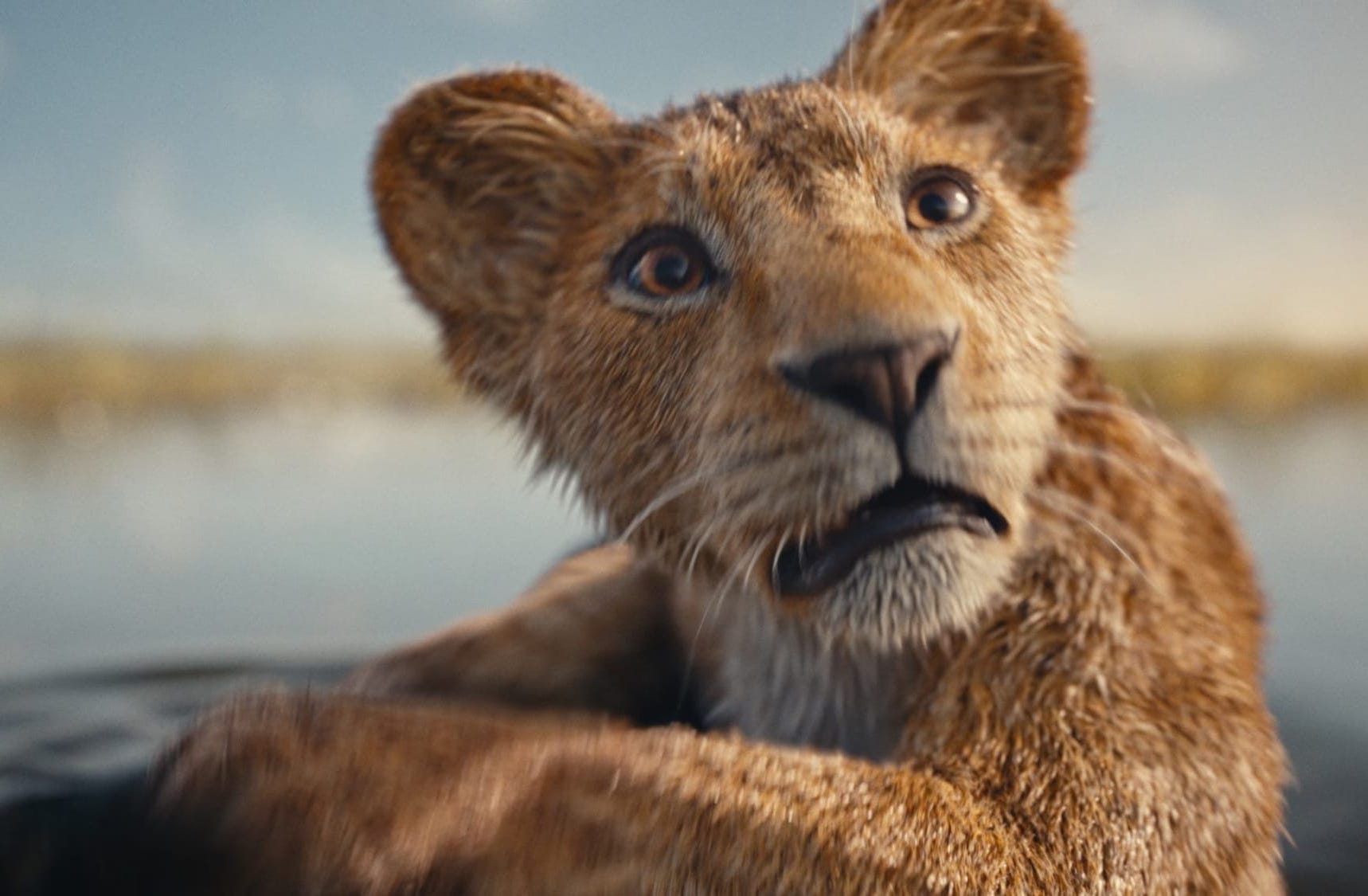 “Kimseye Güvenmek Yok”: ‘Mufasa: The Lion King (2024)’ Film İncelemesi