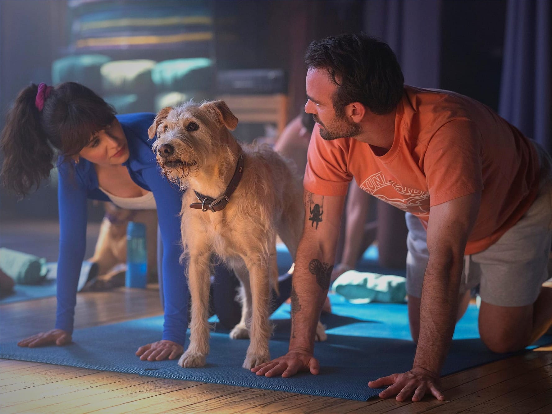 “Charlie Cox’un Bile Kurtaramadığı Film”: ‘Merv (2025)' Film İncelemesi