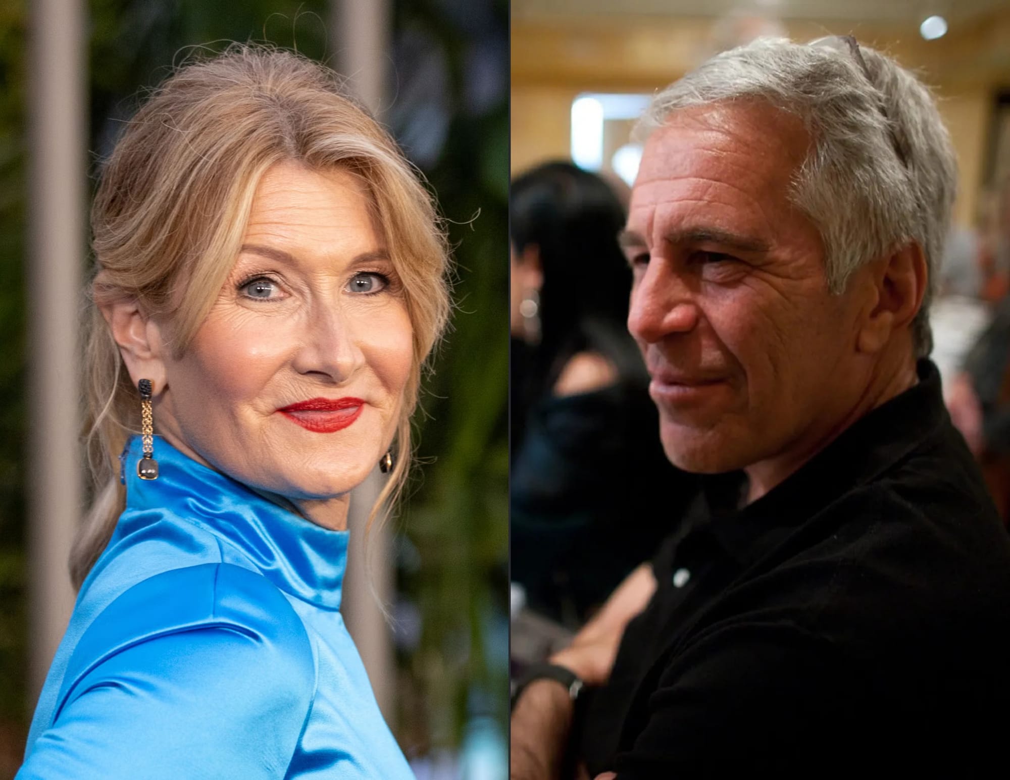 Jeffrey Epstein Soruşturması Dizi Oluyor: Laura Dern Başrolde