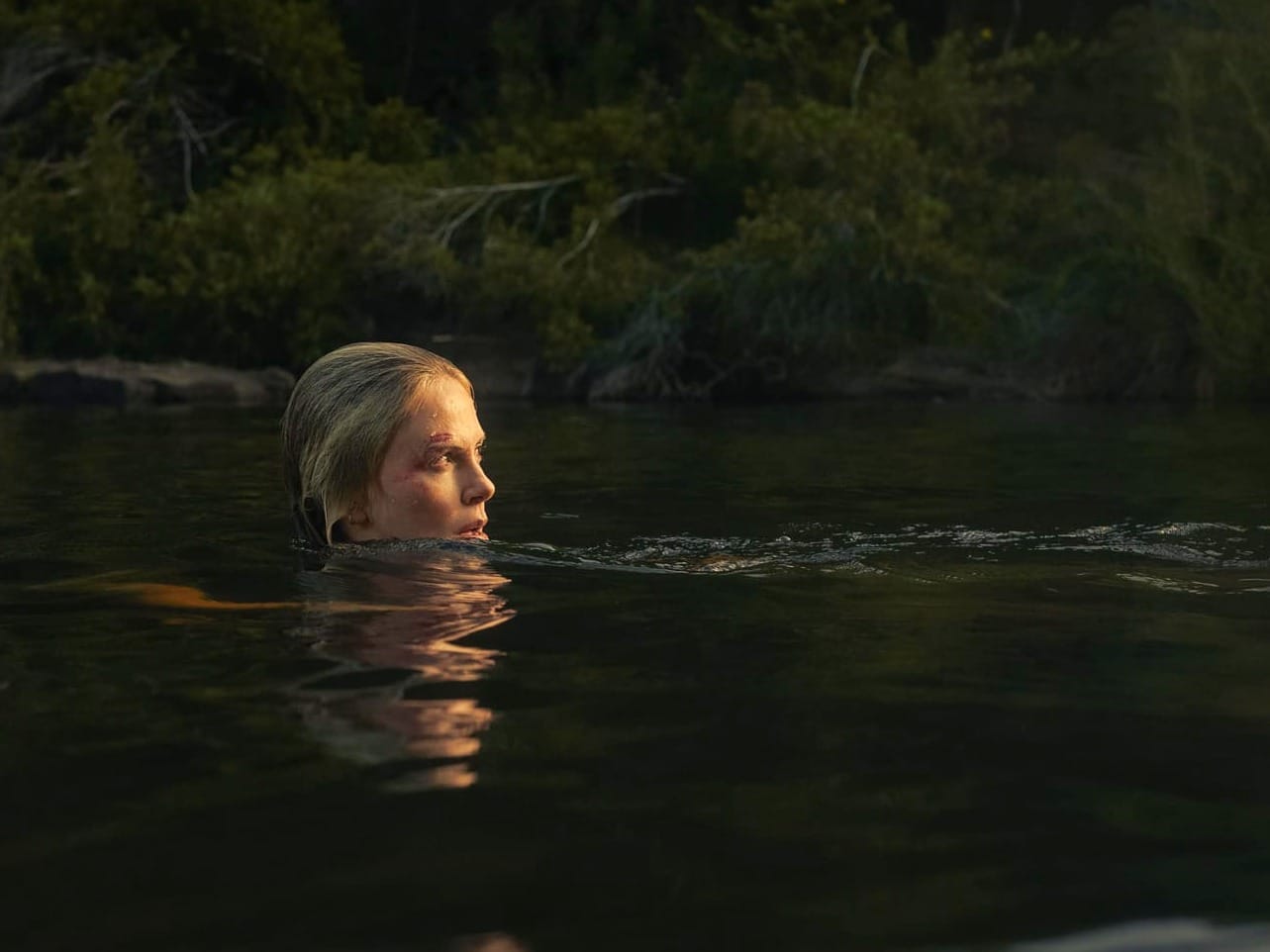 "Kâbusun İçinde Hayat Mücadelesi": 'Apex (2026)' Film İncelemesi