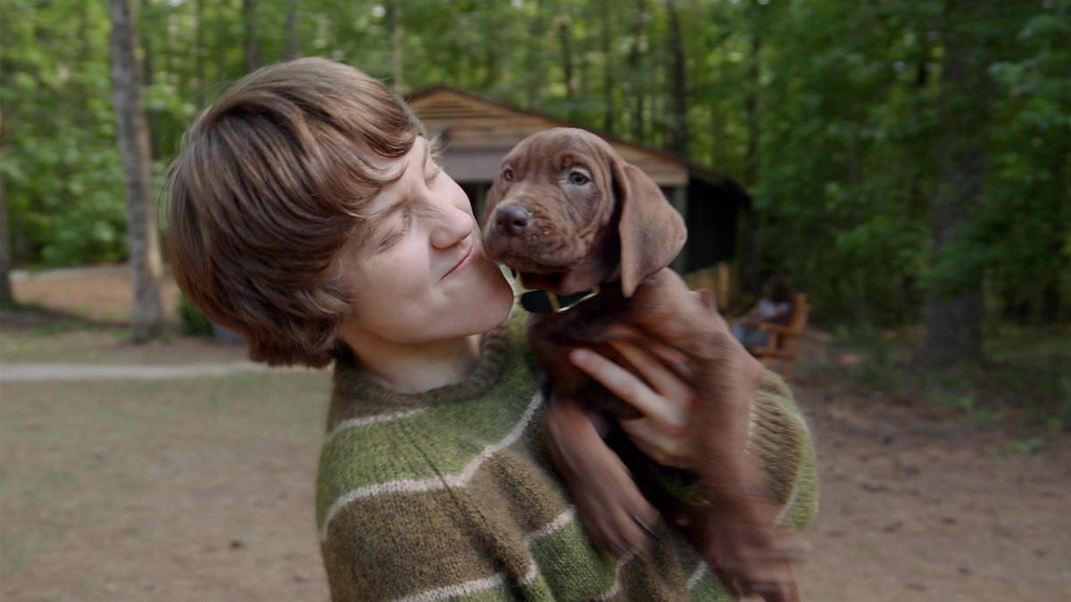 Netflix’in Canlı Uyarlama Scooby-Doo'suna İlk Bakış