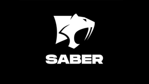 Saber Interactive